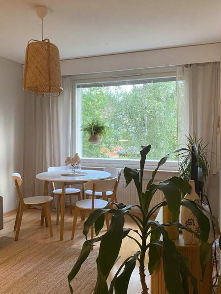 1h + kk  Tampere - photo 2