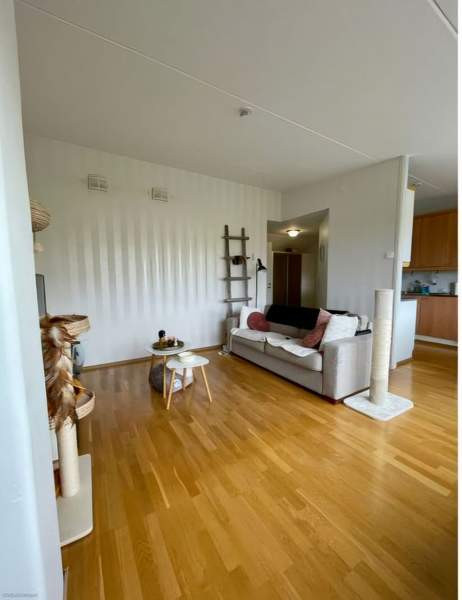 3h + k + s + p  Kokkola - photo 6