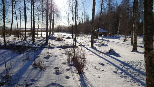 2h  Honkola - photo 3