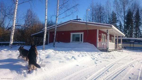 3+k+s  Pyhäselkä - изображение 2