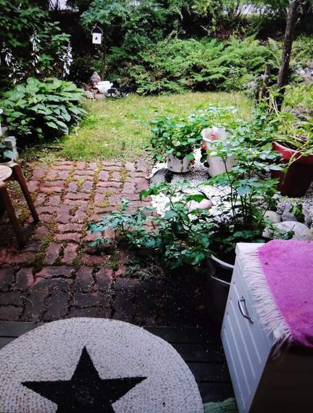 1h+alkovi+kk+kylpyhuone+oma piha  Espoo - photo 1