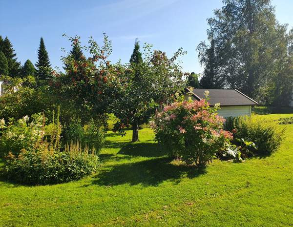 4h + k + s  Seinaejoki - photo 2