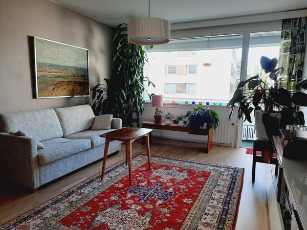 2h + k + p  Turtkul - valokuva 4