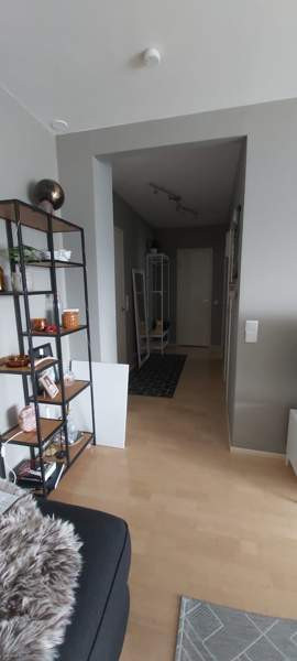 2h + avok + p  Kemin – foto 3