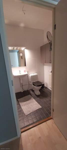 2h + avok + p  Kemin – foto 4