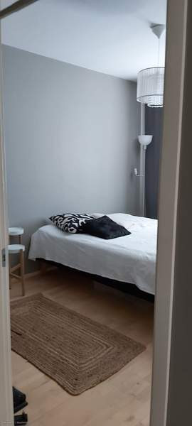 2h + avok + p  Kemin – foto 5