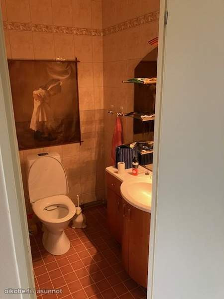 4h + k + s + p  Janakkala - photo 7