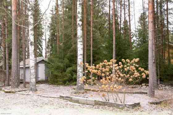 4h + k + s  Турткуль
