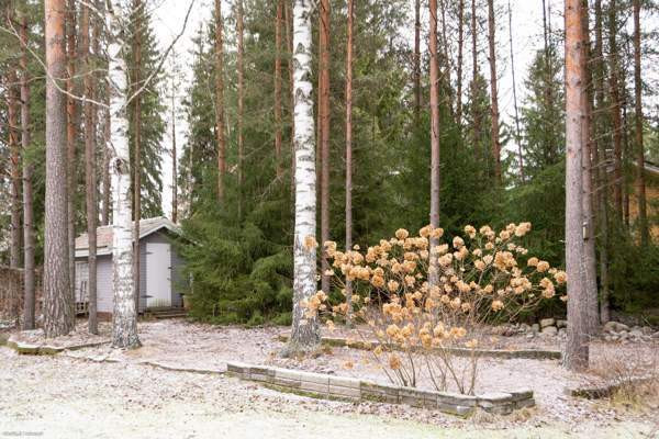 4h + k + s  Turtkul - valokuva 4