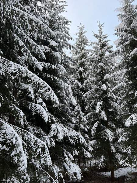 3h + p  Kaavi - valokuva 1