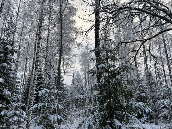 3h + p  Kaavi - valokuva 2