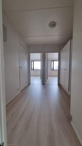 5h + s + p  Рахе - изображение 6