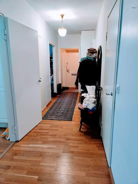 4h + k + kph + p  Zaporiz'ka Oblast' - photo 6