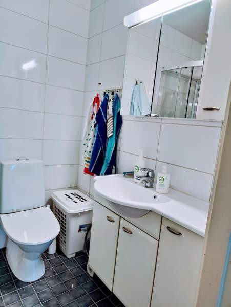 4h + k + kph + p  Zaporiz'ka Oblast' - photo 7