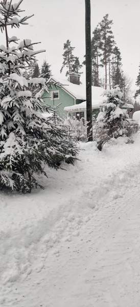 2h + avok  Glebychevo - photo 6