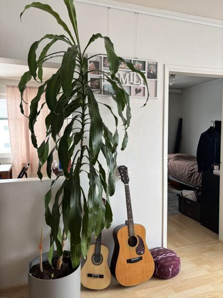 2-3h+avok+wc/kh  Turtkul - photo 6