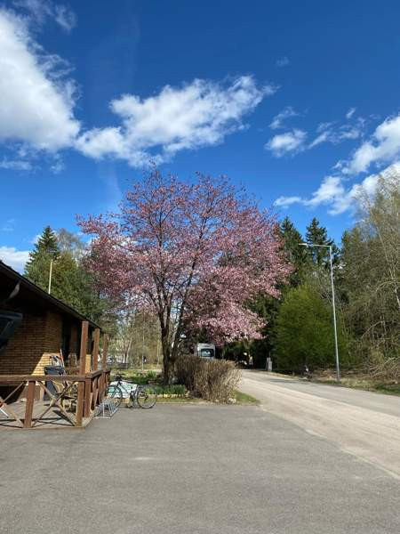 6h+2k+4wc+tkh+s+at+2th  Вантаа - изображение 2