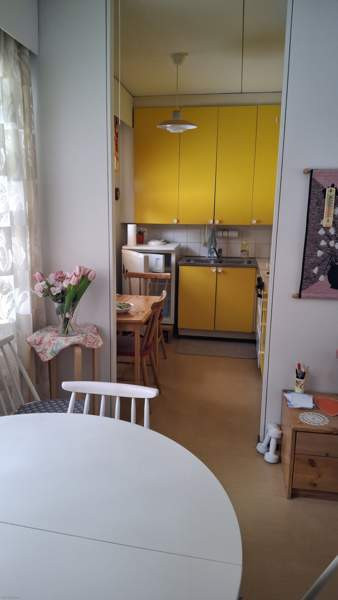 1h + kk+s  Kangasniemi - valokuva 1