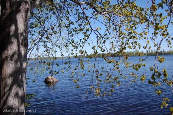 2mh + tupakeittiö  Куопио - изображение 5