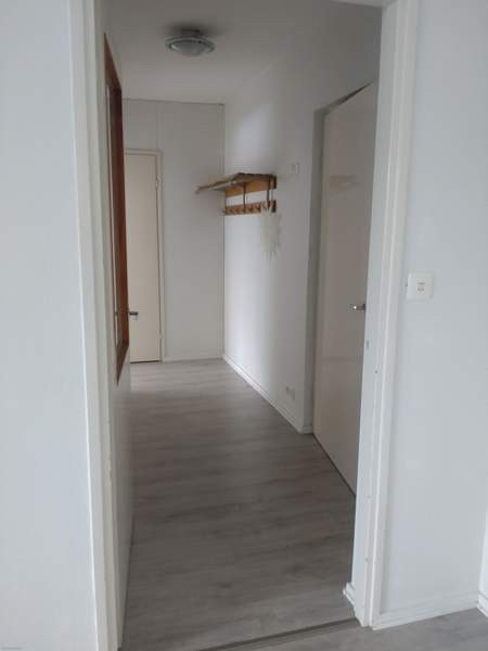 2h + kk + p  Luumäki - изображение 5