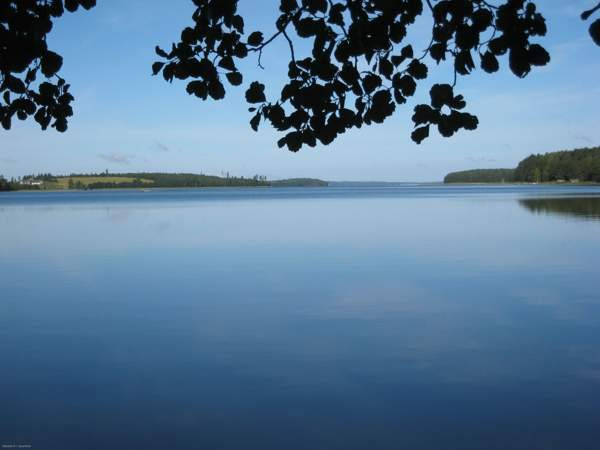 3h + k+ kph/wc +parveke  Viitasaari - photo 7