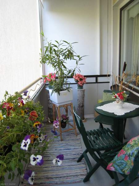 3h + k+ kph/wc +parveke  Viitasaari - photo 4