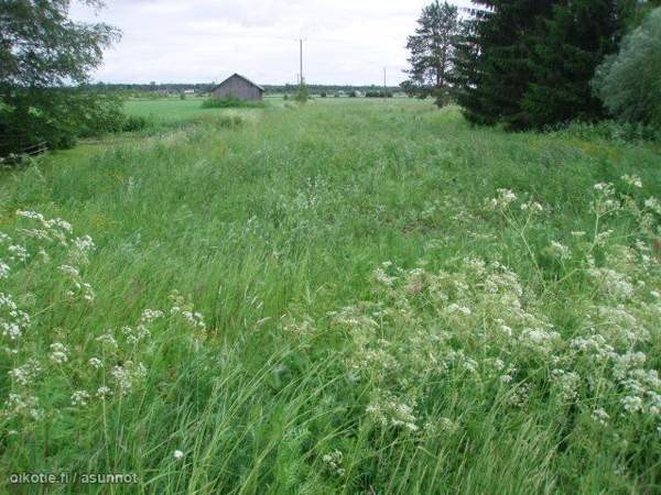 Ei  Ilmajoki - photo 1