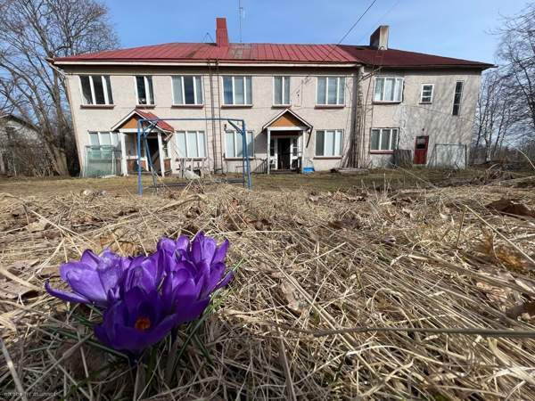 12h  Imatra - valokuva 2