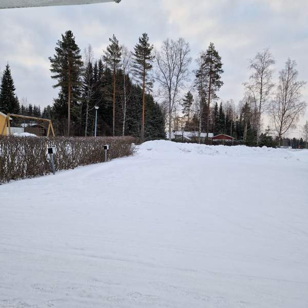 1h + s  Lapinlahti – foto 1