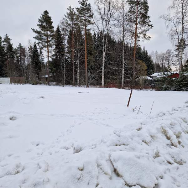 1h + s  Lapinlahti - valokuva 2