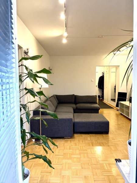 3h + k+ kph + parveke  Helsinki - valokuva 5