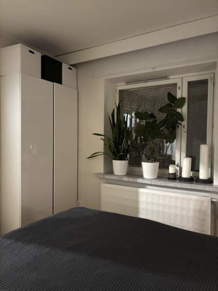 3h + k+ kph + parveke  Helsinki - valokuva 3