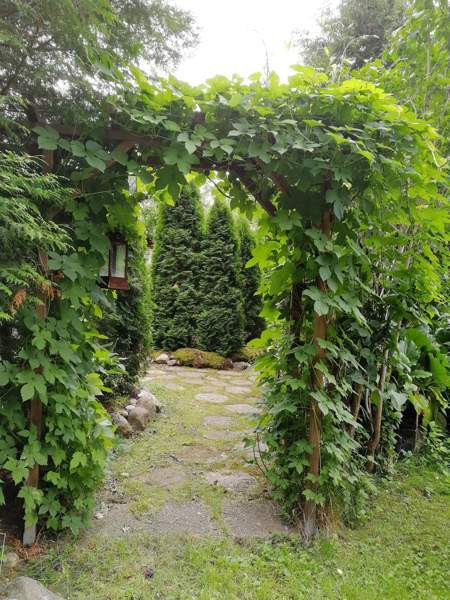 2h + s + p+vh  Kauhava - valokuva 1