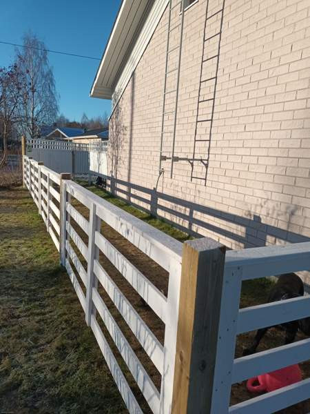 3h + s  Posio - valokuva 5