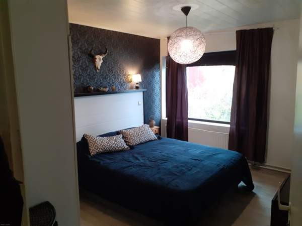 4h + k + pesuh. + sauna  Куопио - изображение 2