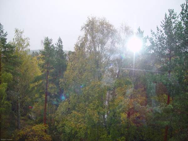 1h + avok  Mikkeli – foto 7