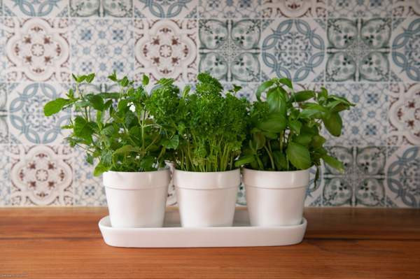 3h + k + p  Espoo - photo 5