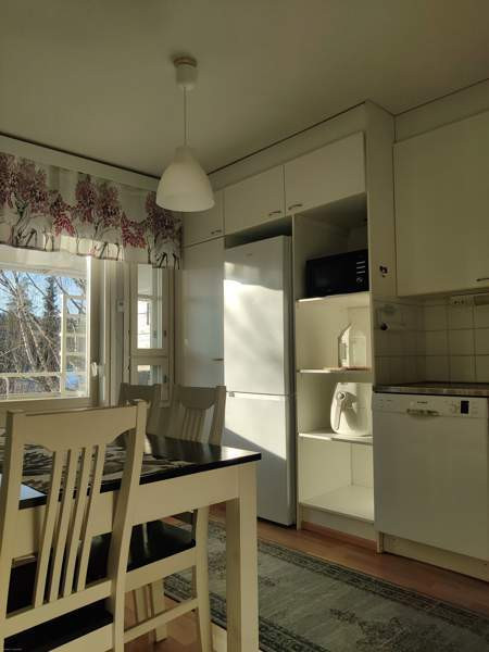 2h+k+s  Jyväskylä - valokuva 5