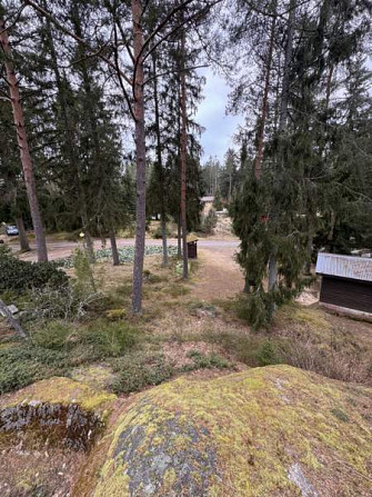 1h  Lieto - valokuva 1