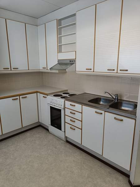 1h + s  Laitila - photo 2