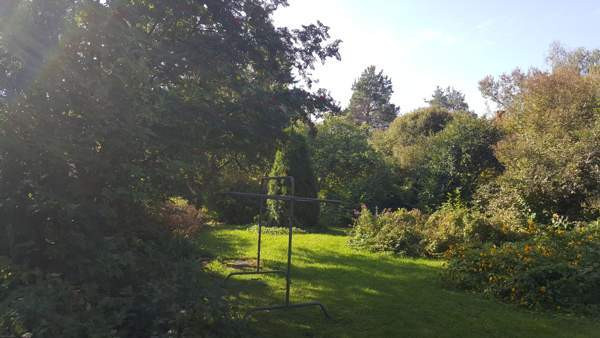 oh+2mh+k+s+ph  Äänekoski - valokuva 5