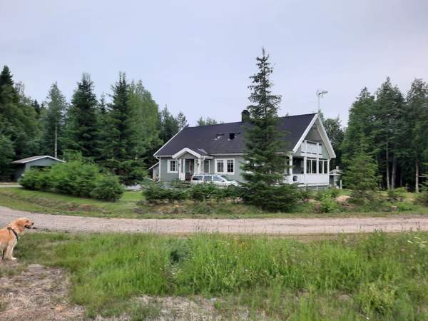 6h + k + p  Pyhäsalmi - photo 1