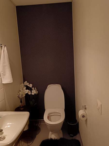 2h + avok  Lieksa - valokuva 7