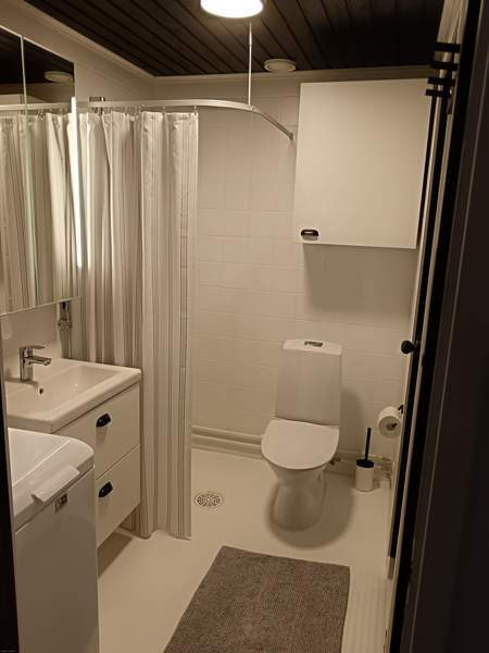 Oh + avok + mh + ph/wc + s + terassi  Joutsa - valokuva 4