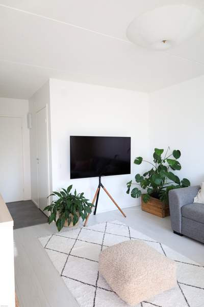 2h + k + las.p. + vh  Glebychevo - photo 8