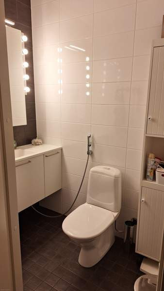 4h + s  Maentsaelae - photo 3