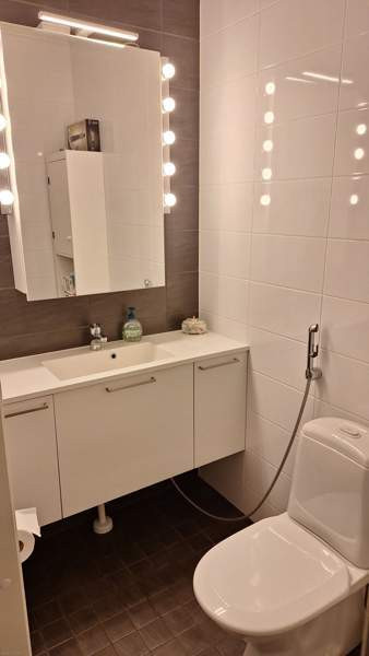 4h + s  Maentsaelae - photo 7