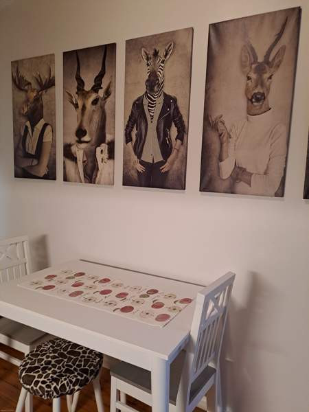 2h + k  Oulu – foto 4