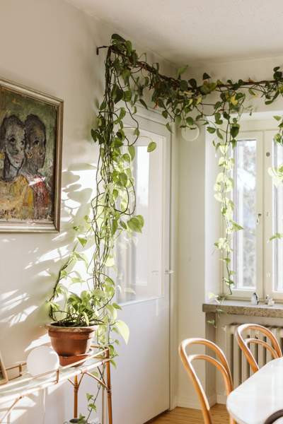 3h + k + p (yhtiöjärj. 2h + k + ullakko)  Turtkul – foto 5