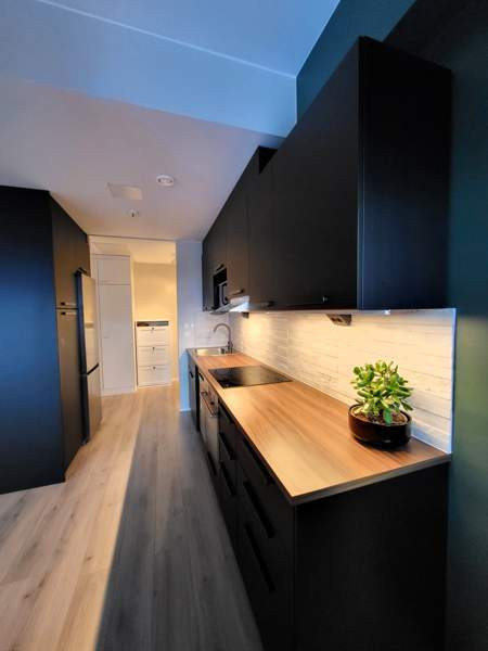 2h + k + s + parveke  Kuopio - photo 2